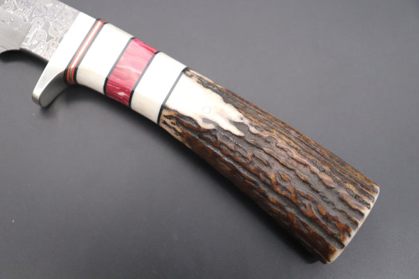 Hattori 傘 SAN Limited Edition SAN-81 Cowry-X Damascus "Wild Road Hunter (Extra Large)" - japaneseknifedirect.mom
