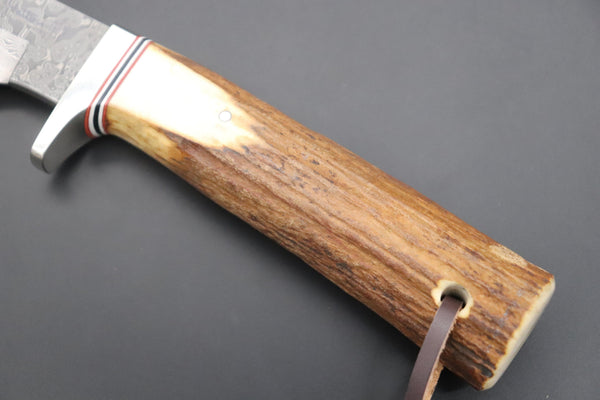 Hattori 傘 SAN Limited Edition SAN-83 Cowry-X Damascus "Wild Road Hunter (Extra Large)" - japaneseknifedirect.mom