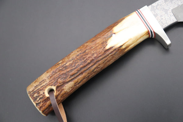 Hattori 傘 SAN Limited Edition SAN-83 Cowry-X Damascus "Wild Road Hunter (Extra Large)" - japaneseknifedirect.mom