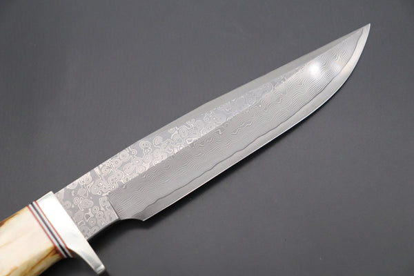 Hattori 傘 SAN Limited Edition SAN-83 Cowry-X Damascus "Wild Road Hunter (Extra Large)" - japaneseknifedirect.mom