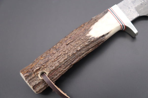Hattori 傘 SAN Limited Edition SAN-84 Cowry-X Damascus "Wild Road Hunter (Extra Large)" - japaneseknifedirect.mom