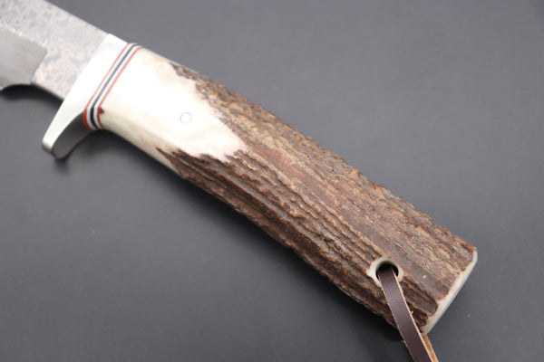 Hattori 傘 SAN Limited Edition SAN-84 Cowry-X Damascus "Wild Road Hunter (Extra Large)" - japaneseknifedirect.mom