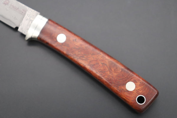 Hattori 傘 SAN Limited Edition SAN-92 Limited Cowry-X Damascus EDC Utility Hunter (Quince Burl Wood Handle)