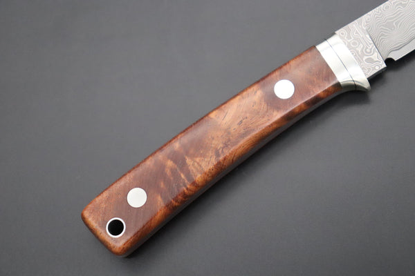 Hattori 傘 SAN Limited Edition SAN-92 Limited Cowry-X Damascus EDC Utility Hunter (Quince Burl Wood Handle)