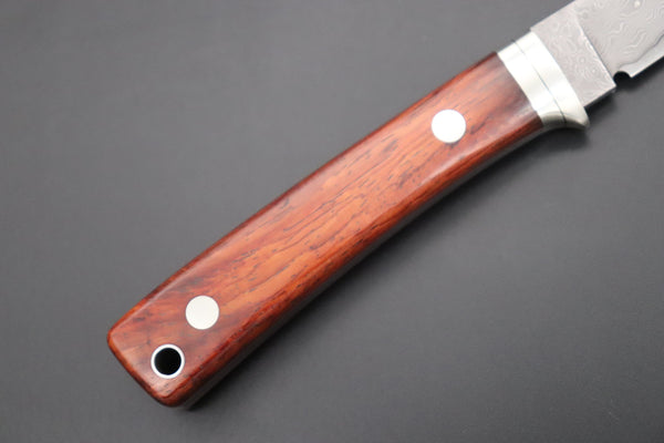Hattori 傘 SAN Limited Edition SAN-93 Limited Cowry-X Damascus EDC Utility Hunter (Cocobolo Wood Handle)