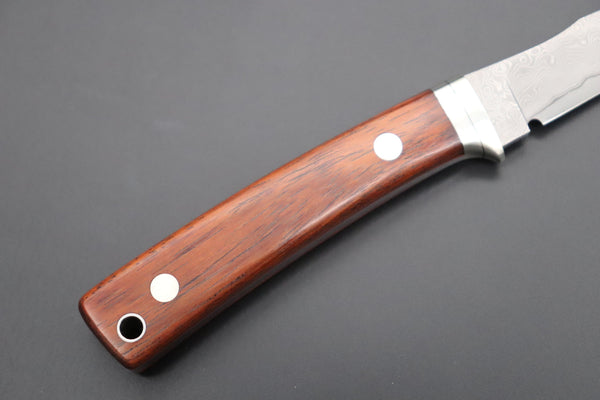 Hattori 傘 SAN Limited Edition SAN-94 Limited Cowry-X Damascus Little Hunter (Clip Point, Cocobolo Wood Handle)