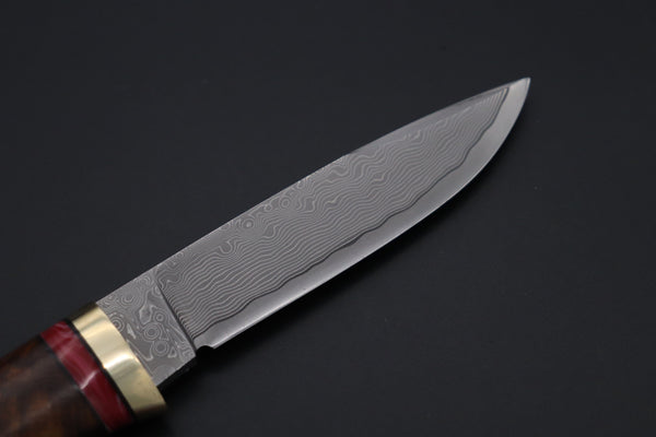 Hattori 傘 SAN Limited Hattori Natures Edition SAN-147 Cowry-X Damascus Special Utility Hunter "Custom Combination Handle Desert Ironwood Handle with Spiny Oyster Gem-Composite Stone" - japaneseknifedirect.mom