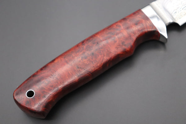 Hiroshi Saito SH-11 Natural Classic-Elegant Hunter - japaneseknifedirect.mom