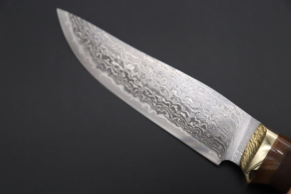 Hiroshi Saito SH-16 Natural Fossil Elegant Hunter - japaneseknifedirect.mom