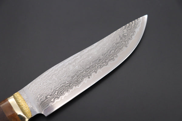 Hiroshi Saito SH-16 Natural Fossil Elegant Hunter - japaneseknifedirect.mom