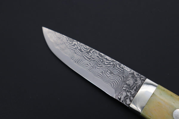 Mr. Itou  IT-440B Drop point Utility Hunter, R2 Damascus Blade,  Camelbone Handle - japaneseknifedirect.mom