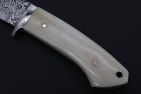 Mr. Itou  IT-500B Drop Point Hunter, 3-3/4" R2 Damascus Blade, White Camelbone Handle