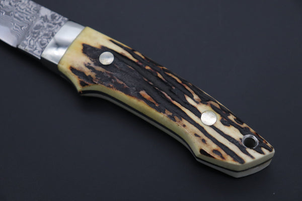 Mr. Itou  IT-750 Drop Point Utility Hunter, 4.8" R-2 Damascus Blade,Stag Handle