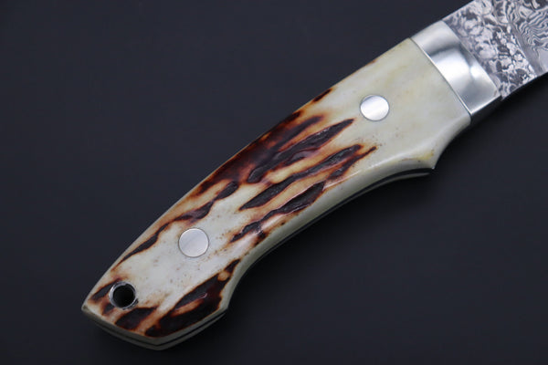 Mr. Itou  IT-810 Drop Point Utility Hunter, 4.7" R-2 Damascus Blade,Stag Handle