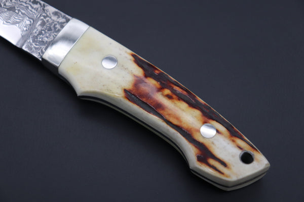 Mr. Itou  IT-810 Drop Point Utility Hunter, 4.7" R-2 Damascus Blade,Stag Handle