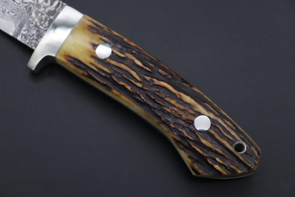 Mr. Itou  IT-820 Drop Point Hunter, 3.6" R2 Damascus Blade, Stag Handle