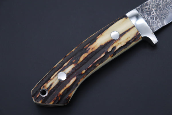 Mr. Itou  IT-820 Drop Point Hunter, 3.6" R2 Damascus Blade, Stag Handle
