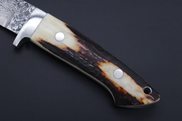 Mr. Itou  IT-830 Drop Point Hunter, 3.5" R2 Damascus Blade, Stag Handle