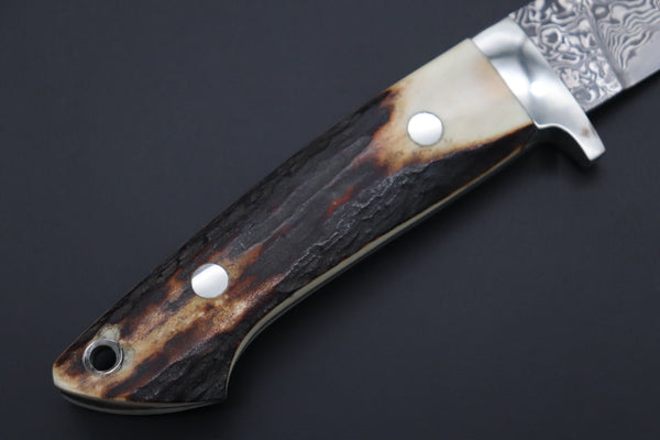 Mr. Itou  IT-830 Drop Point Hunter, 3.5" R2 Damascus Blade, Stag Handle