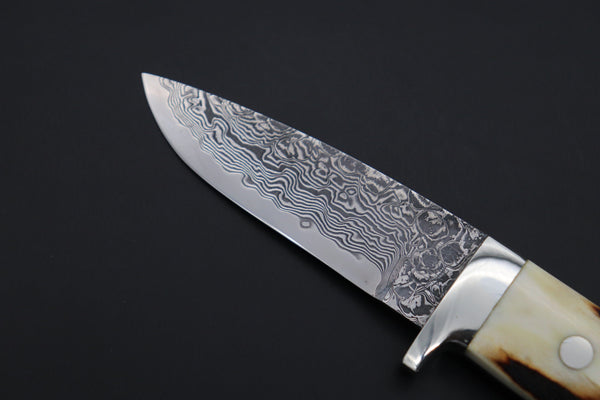 Mr. Itou  IT-830 Drop Point Hunter, 3.5" R2 Damascus Blade, Stag Handle