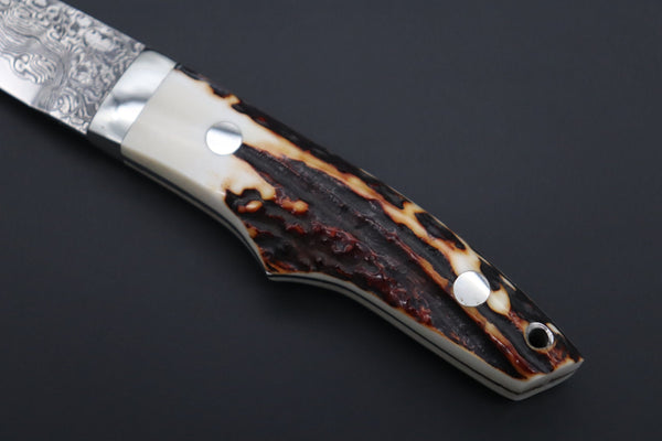 Mr. Itou  IT-840 Drop Point Utility Hunter, 3.4" R-2 Damascus Blade, Stag Handle