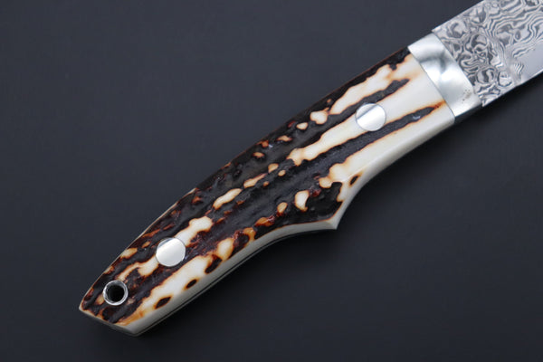 Mr. Itou  IT-840 Drop Point Utility Hunter, 3.4" R-2 Damascus Blade, Stag Handle