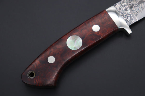 Mr. Itou  IT-980 Drop Point Hunter, 3.7" R-2 Damascus Blade, Quince Burlwood Handle with White Abalone inlay