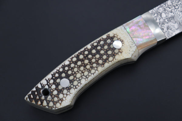Mr. Itou  ITH-70A  "Treasure Hunter Series" Custom R-2 Damascus 5-1/2" Drop-point Hunter, 'Dots Pattern' Armadillo Hide Handle