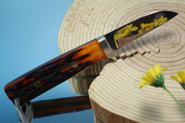 Fumio Inagaki FI-310 Cowry Utility Hunter, 2-3/4" Cowry-X Premium Powdered Hi-speed Tool steel Blade - japaneseknifedirect.mom