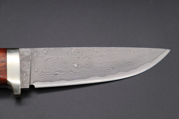 Hattori KD30-HT70CF Cowry X Damascus Urbane Hunters (Cocobolo Wood Handle)