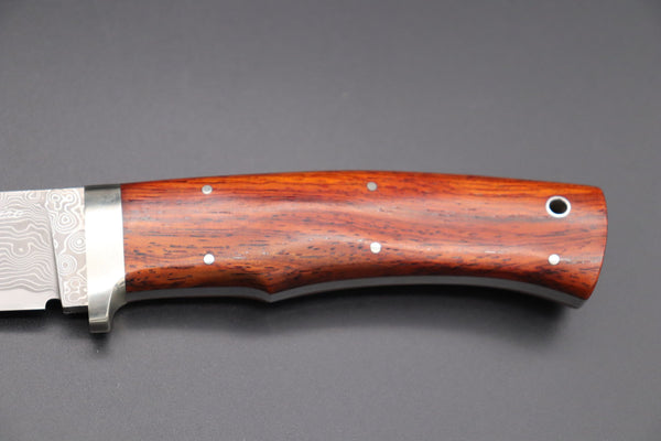 Hattori KD30-HT70CF Cowry X Damascus Urbane Hunters (Cocobolo Wood Handle)