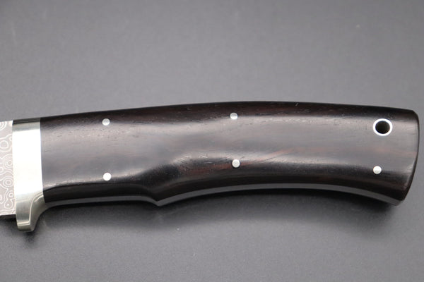 Hattori KD30-HT70EF Cowry X Damascus Urbane Hunters (African Ebonywood Handle) - japaneseknifedirect.mom
