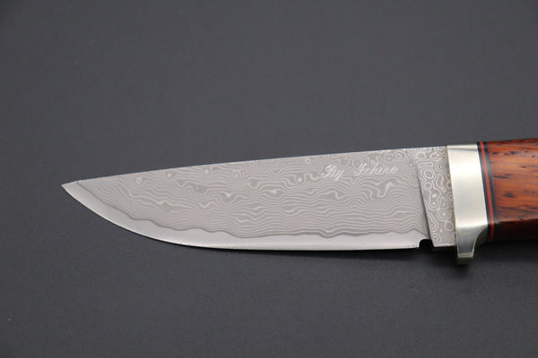 Hattori KD30-HT70HC Cowry X Damascus Urbane Hunters (Cocobolo Wood Handle)