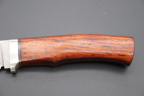 Hattori KD30-HT70HC Cowry X Damascus Urbane Hunters (Cocobolo Wood Handle)
