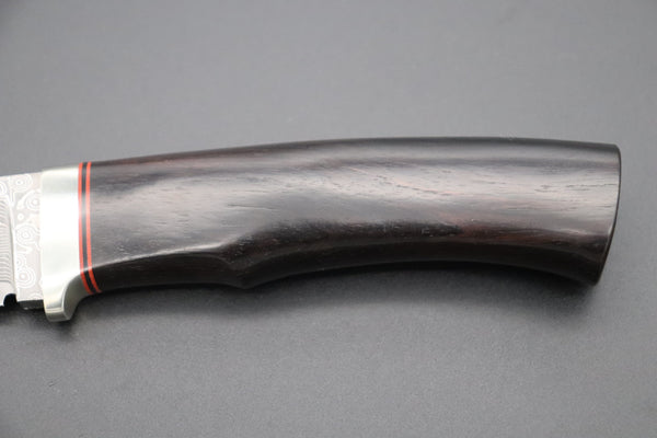 Hattori KD30-HT70HE Cowry X Damascus Urbane Hunters (African Ebonywood Handle)