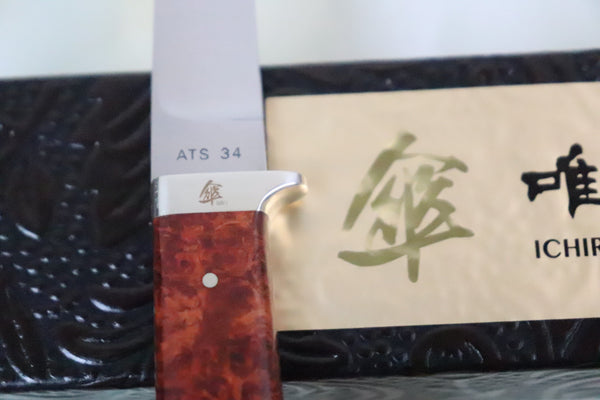 Hattori 傘 SAN Limited Edition SAN-52 Custom Small Utility Hunter (Quince Burl Wood Handle) - japaneseknifedirect.mom