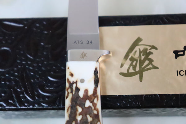 Hattori 傘 SAN Limited Edition SAN-53 Custom Small Utility Hunter (Stag Handle) - japaneseknifedirect.mom