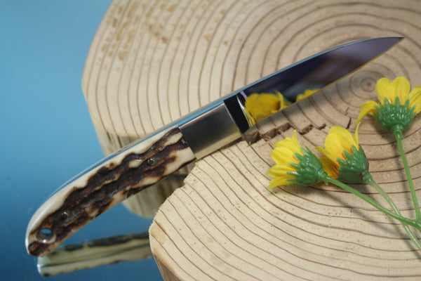 Takayuki Watanabe TW-950 Loveless City Knife - japaneseknifedirect.mom